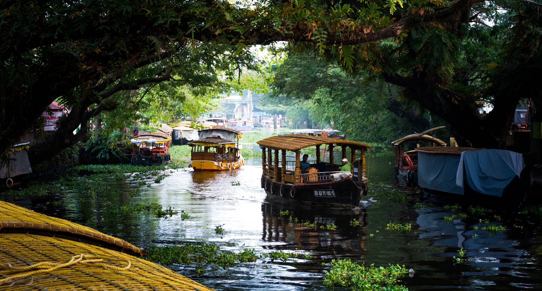 Star of Alleppey-Floating market of Driven