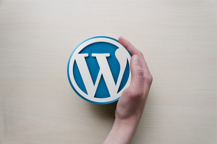 A hand holding a WordPress logo
