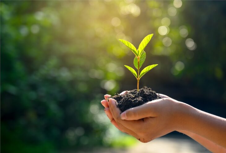5 Tips for Going Green with Your Business