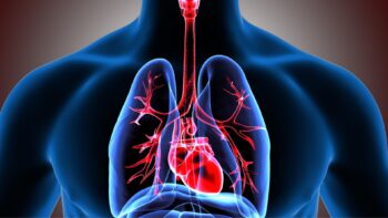 7 Tips To Keep Your Lungs Healthy